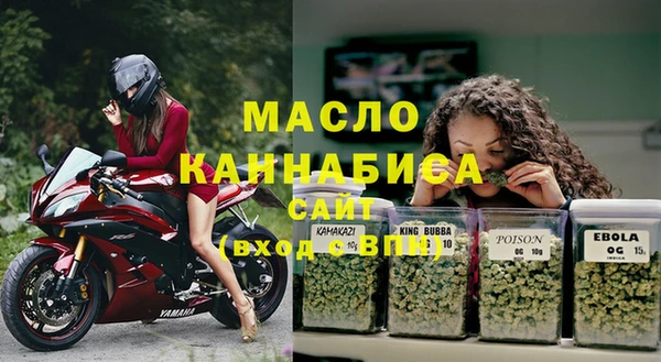 молекула духа Гусиноозёрск