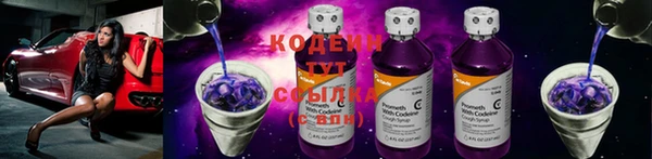 молекула духа Гусиноозёрск
