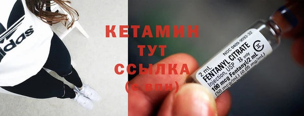 гидра Гусев