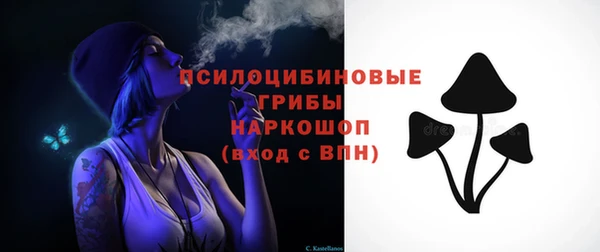 спиды Горнозаводск