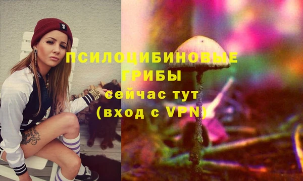 гидра Гусев