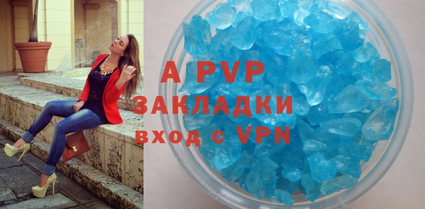 гидра Гусев
