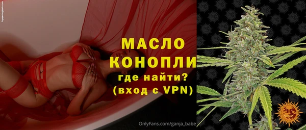 гидра Гусев