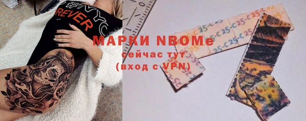 молекула духа Гусиноозёрск