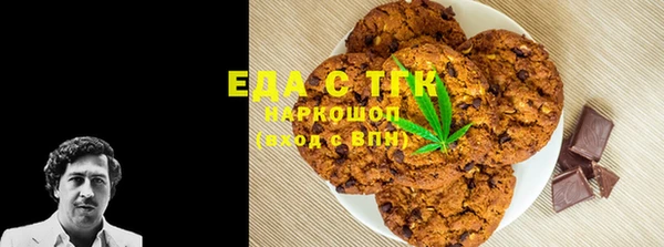 гидра Гусев